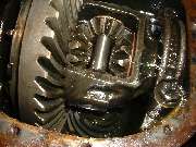 MG differential gears