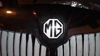 Plastic MGA grille