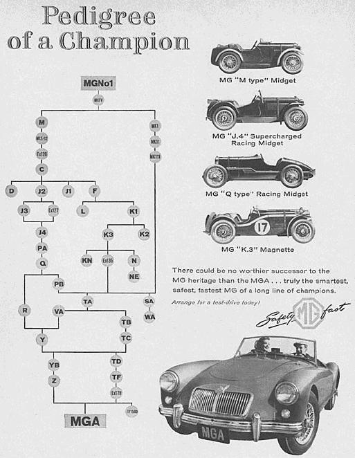 Pedigree of a Champion, MGA Lineage diagram