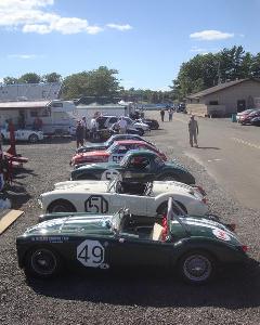 57 Sebring MGA #49